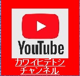 カワイヒデトシチャンネル